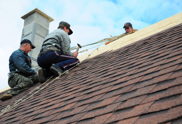 Best Residential Roofing Contractor  in Halsey, OR